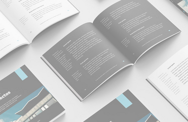 Adobe InDesign. Inicial