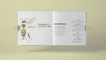 Dise&ntilde;o Gr&aacute;fico: Herramientas visuales para comunicar con impacto